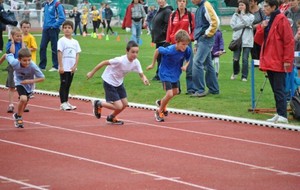 50953e8f46588_002 [640x480].JPG